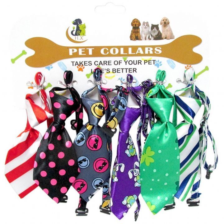 Kafuli Kravatlı Boyun Tasması 6'lı