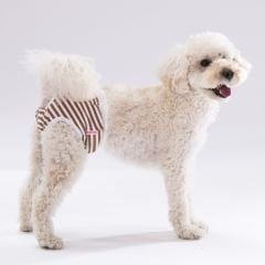 Pawstar Çizgili Çamaşır
