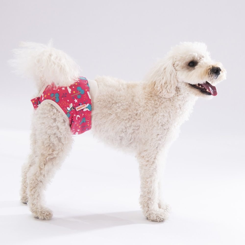 Pawstar Mix Çiçekli Çamaşır