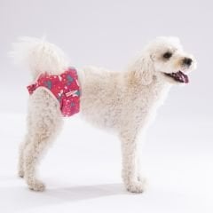 Pawstar Mix Çiçekli Çamaşır