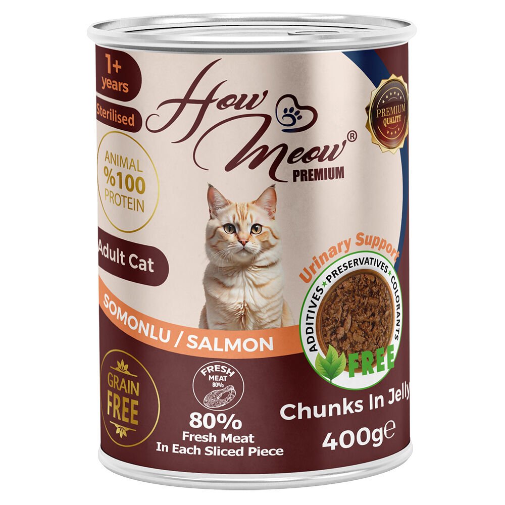 HOWMEOW YETİŞKİN KEDİ KONSERVE SOMONLU 400 GR 12'Lİ