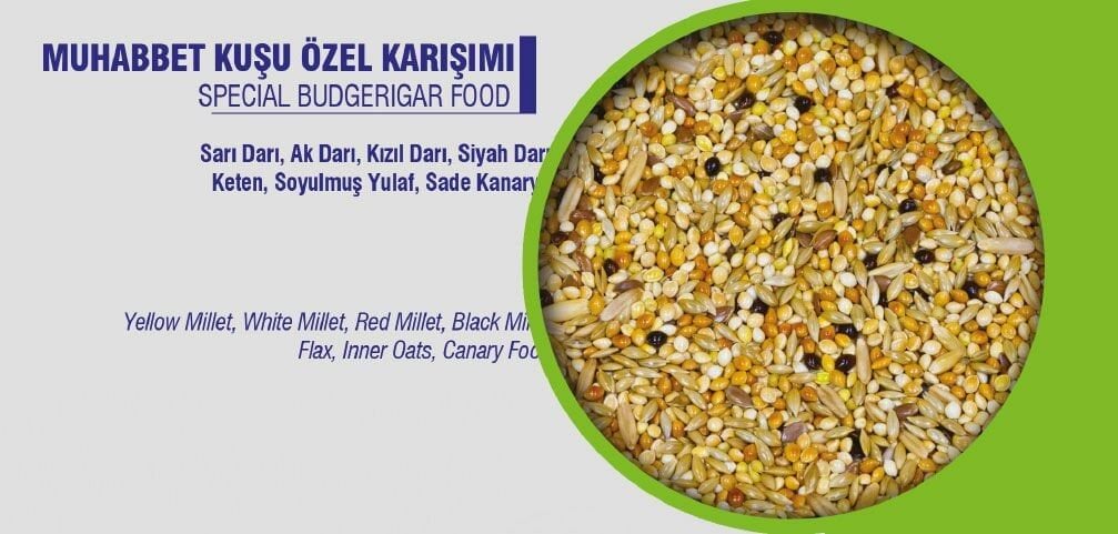VİVİD EKO KARIŞIK MUHABBET YEMİ 20 KG