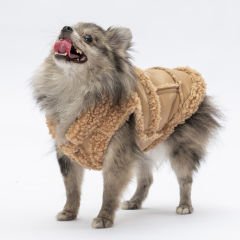 PAWSTAR BEJ CHURCHİLL YELEK M-L-L-XL-2XL