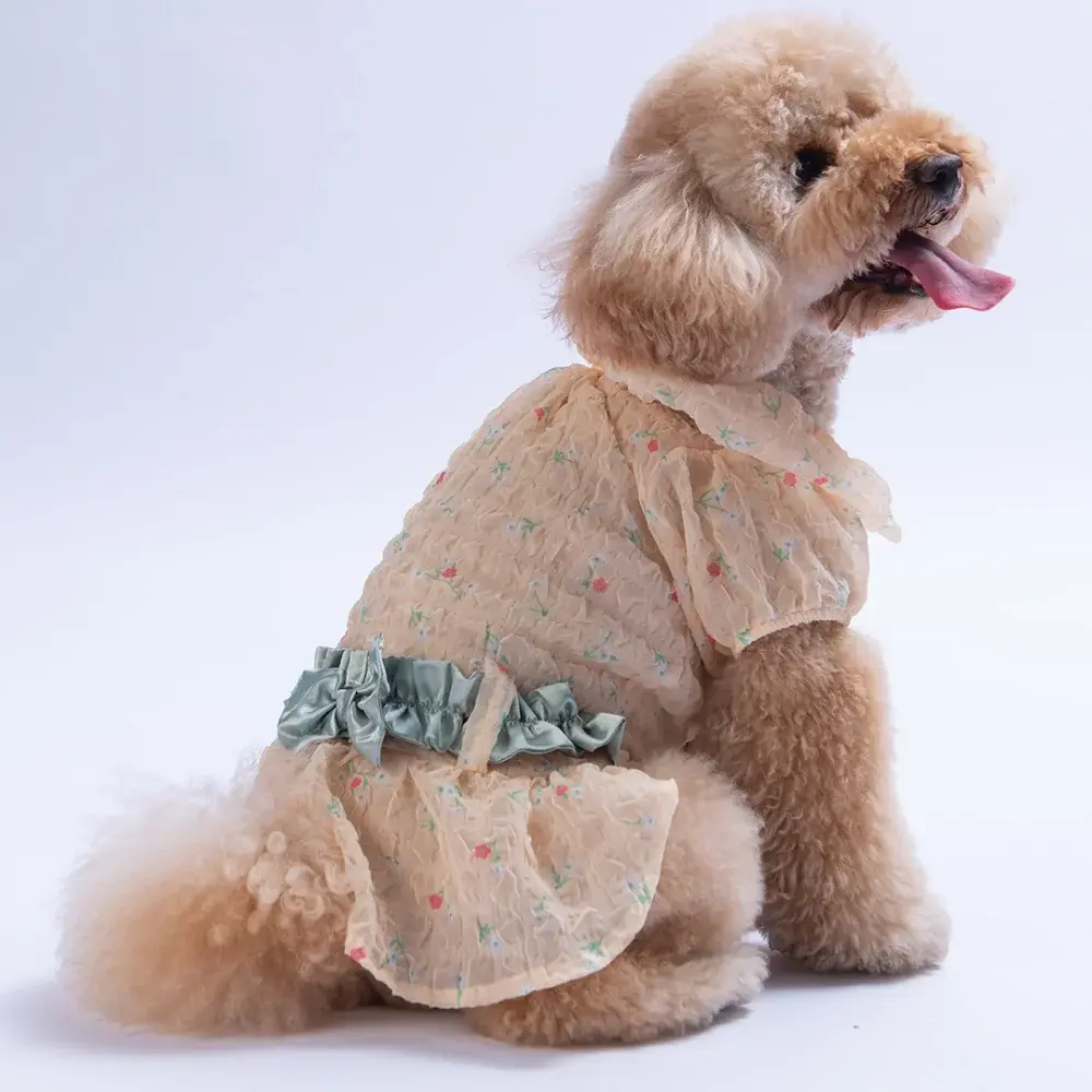 Sarı Valencia Elbise S-M-L-XL-2XL