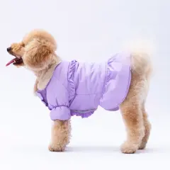 Lila Elizabeth Yağmurluk M-L-L-XL-2XL (5 li SET)