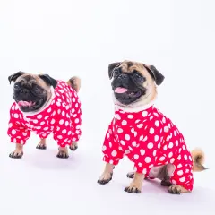 Fuşya Dots Tulum Yağmurluk M-L-XL-XL-2XL (5'li Set)