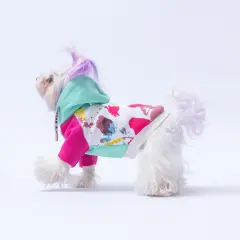 Mint Rio Hoodie M-L-L-XL-2XL (5 li SET)