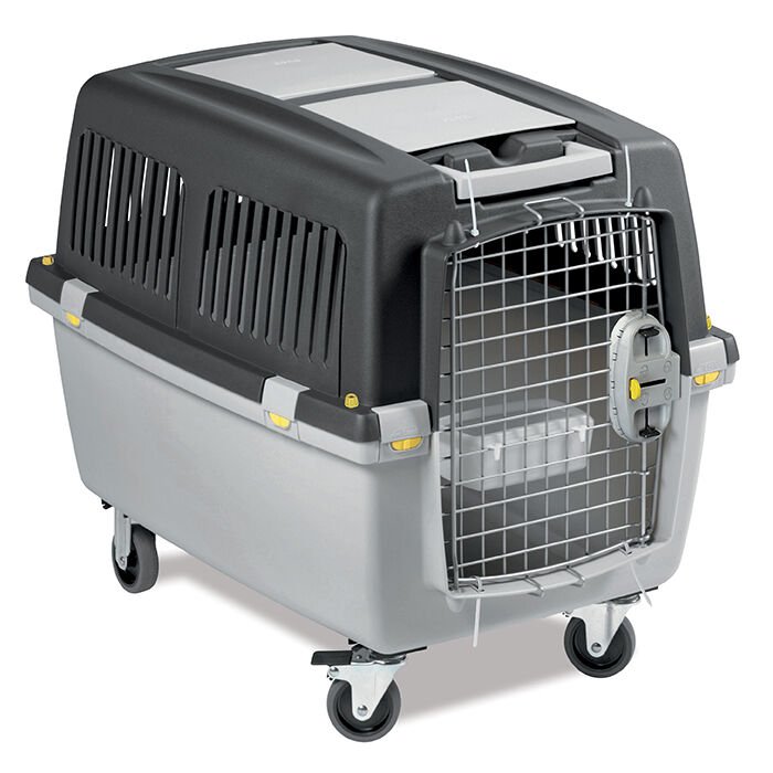 Gulliver 6 Plus Iata 92X64X66 (3)