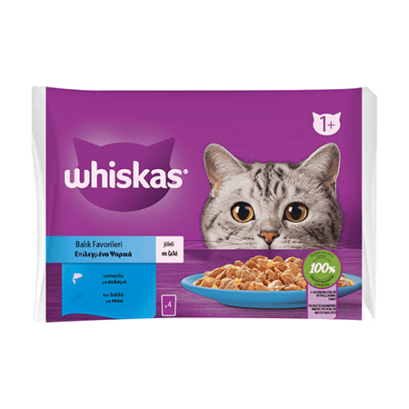 WHİSKAS POUCH BALIK ÇEŞİTLERİ 4'LÜ