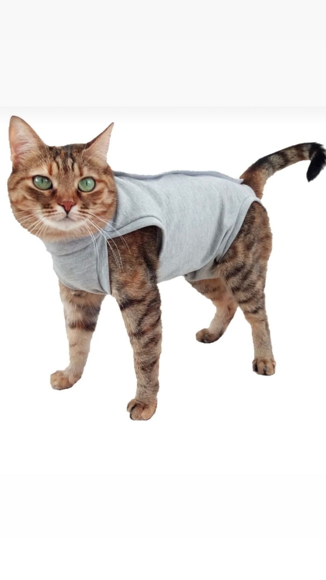 KEDİ KÖPEK AMELİYAT SONRASI KIYAFETİ 4'LÜ