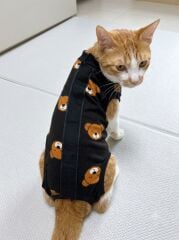KEDİ KÖPEK AMELİYAT SONRASI KIYAFETİ 4'LÜ