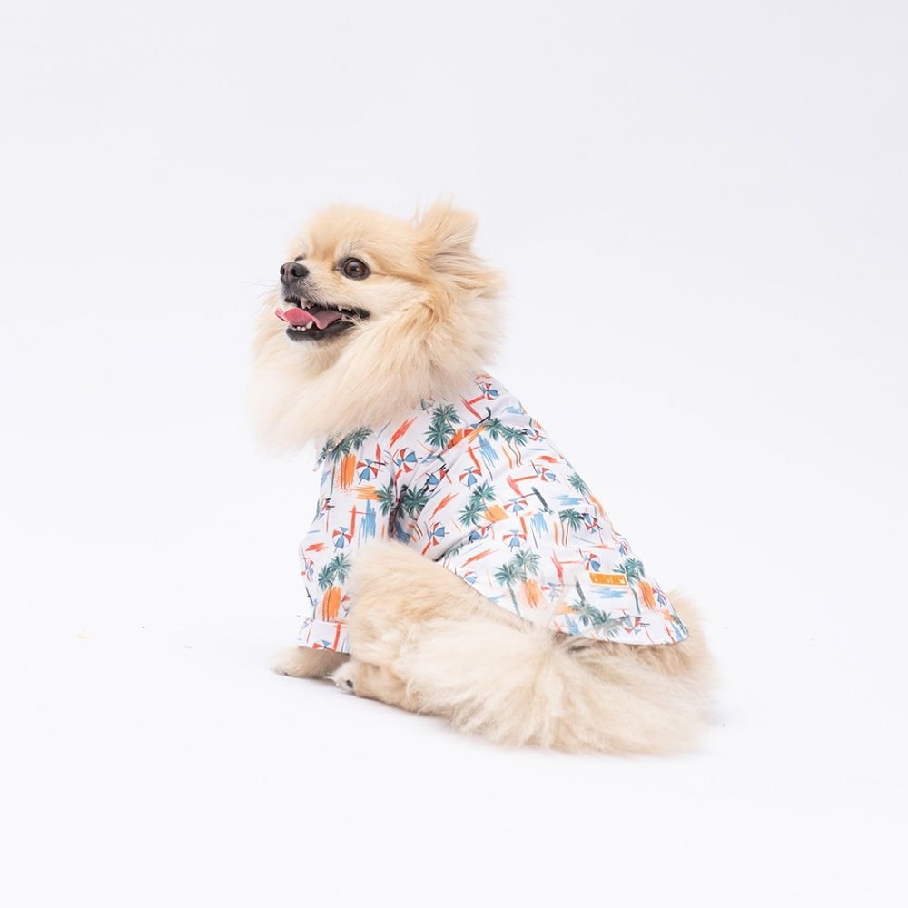 Palm Beach Desenli Gömlek S-M-L-L-XL-2XL