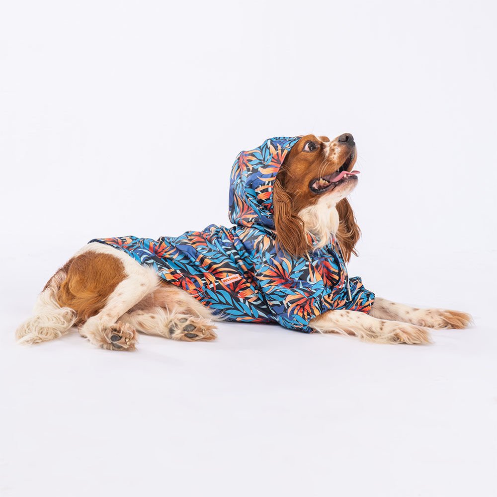 PAWSTAR AUTUMA YAĞMURLUK M-L-XL-XL-2XL (5’li Set)