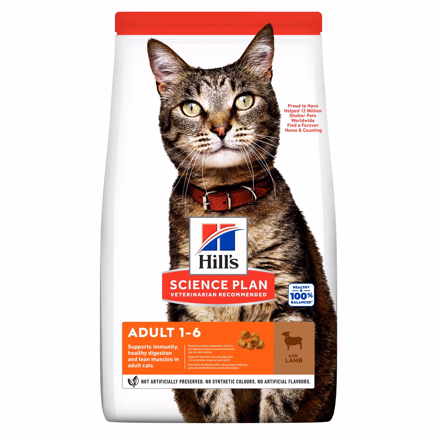 HİLL'S SP KUZULU YETİŞKİN KEDİ MAMASI 8+2 KG