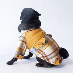 PAWSTAR Mavi Plaid e Pelle Ceket