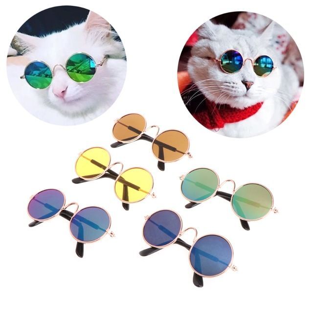 EON KEDİ KÖPEK GÖZLÜK