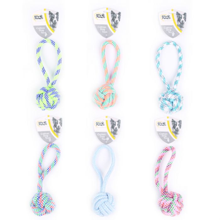 ALLY PAWS KÖPEKLER İÇİN DİŞ İPİ 23 CM