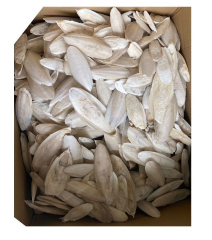 FİZZY MÜREKKEB BALIĞI KEMİK 2 KG