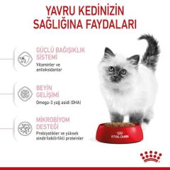 ROYAL CANİN KİTTEN 10 KG