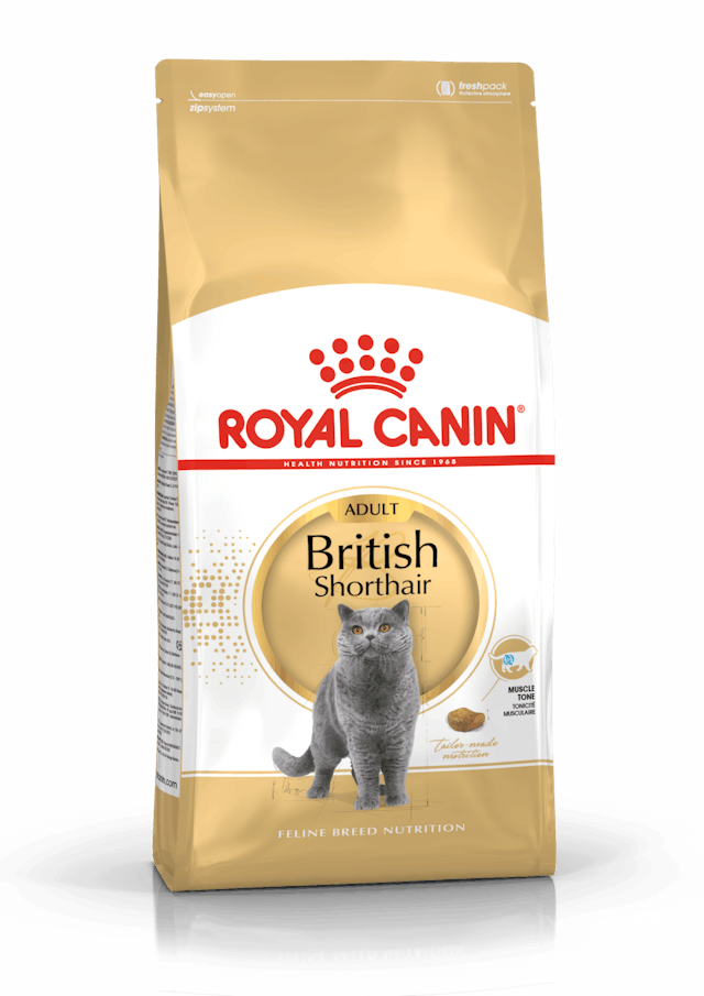 ROYAL CANİN BRITISH SHORTHAIR ADULT 2 KG