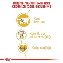 ROYAL CANİN BRITISH SHORTHAIR ADULT 2 KG