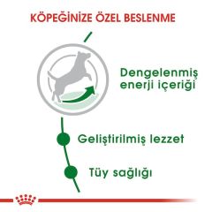 ROYAL CANİN MİNİ ADULT 4 KG