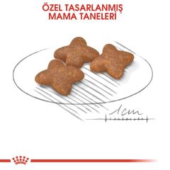 ROYAL CANİN MİNİ ADULT 4 KG