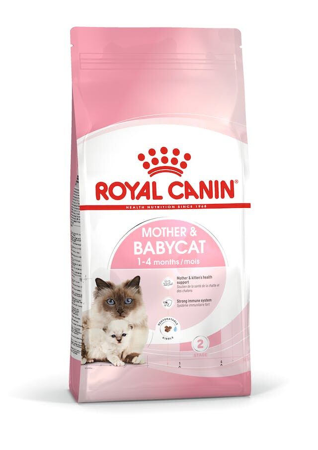 ROYAL CANİN BABYCAT 4 KG