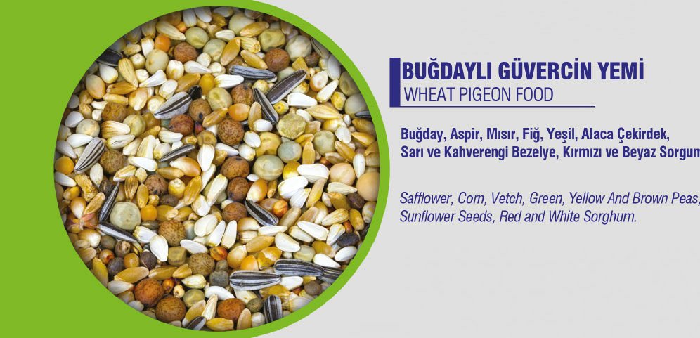 VİVİD GÜVERCİN YEMİ 10 KG