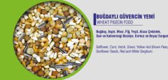 VİVİD GÜVERCİN YEMİ 10 KG