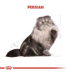 ROYAL CANİN PERSİAN ADULT 4 KG