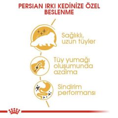 ROYAL CANİN PERSİAN ADULT 4 KG