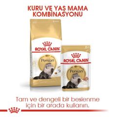 ROYAL CANİN PERSİAN ADULT 4 KG