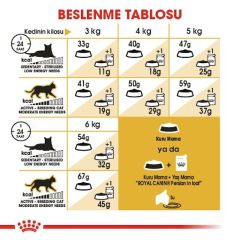 ROYAL CANİN PERSİAN ADULT 4 KG