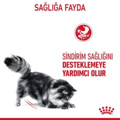 ROYAL CANİN DIGEST SENSITIVE GRAVY PONCH 85 GR