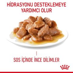 ROYAL CANİN DIGEST SENSITIVE GRAVY PONCH 85 GR