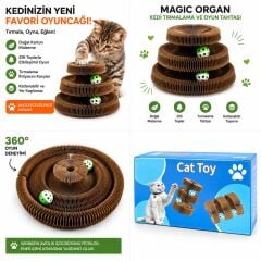 KARTON TIRMALAMA İKİLİ