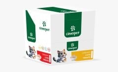 CLOVERPET SALMON CREAMY CATS 100*5 GR