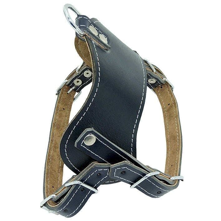 DERİ SIRTLIK TASMA BÜYÜK