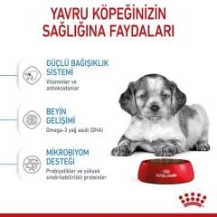 ROYAL CANİN MEDIUM PUPPY 4 KG