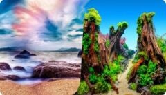 Plastik Poster Gökyüzü Agaç 30cm-15mt