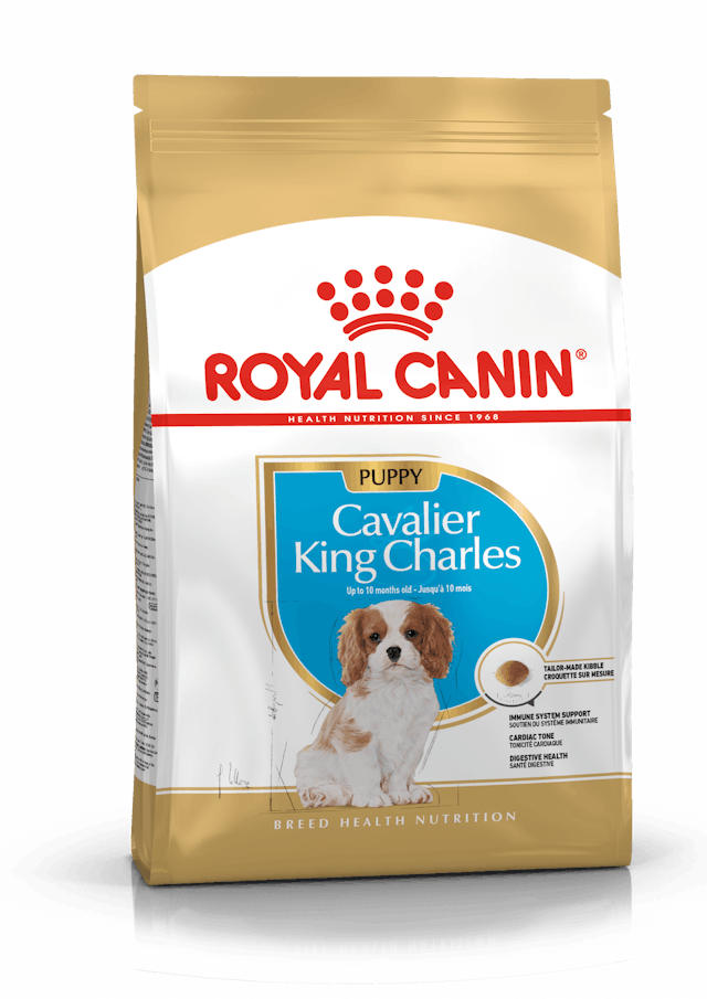 ROYAL CANİN CAVALİER ADULT 3 KG