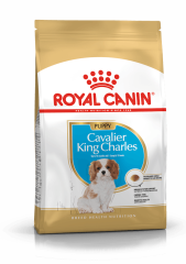 ROYAL CANİN CAVALİER ADULT 3 KG