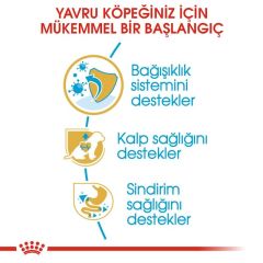 ROYAL CANİN CAVALİER ADULT 3 KG