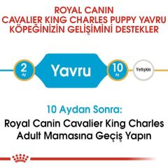 ROYAL CANİN CAVALİER ADULT 3 KG
