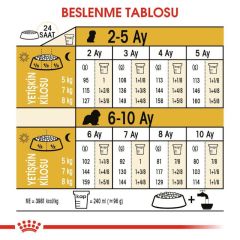 ROYAL CANİN CAVALİER ADULT 3 KG