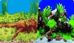 Plastik Poster Bitki Kaya 50cm-15mt