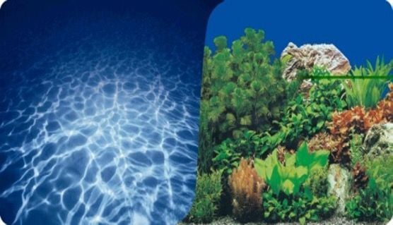 PLASTİK POSTER DENİZ&BİTKİ 30cm-15mt