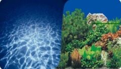 PLASTİK POSTER DENİZ&BİTKİ 30cm-15mt