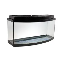 BOMBELİ AKVARYUM 3'LÜ SET